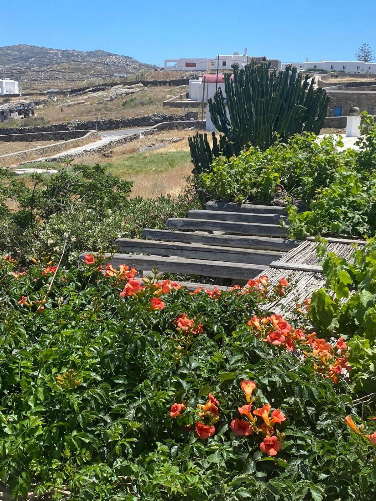 Panormos Village,Mykonos Mykonos Town Exterior photo